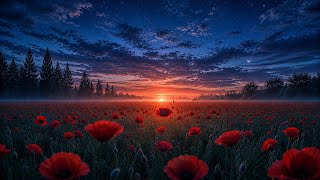 Vanster — Маки Червоні 🌺 2026|FolkTrapUA 