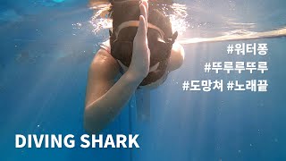 물퐁맞은 다이빙 상어들 screenshot 4