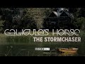 Caligulas horse  the stormchaser official
