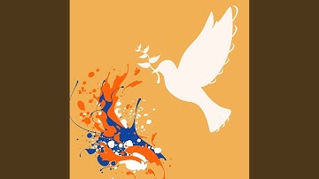 Terrific Backdrops for Cool Off Tides