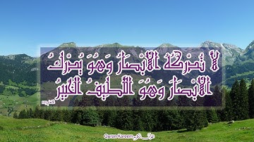 سورة هود 25-49 ,الضحى ,الانشراح عبد المعز شاكر طور عراقي روعة تلاوة نادرة
