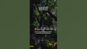 #سورة_العاديات #قران_كريم #قرآن#قران