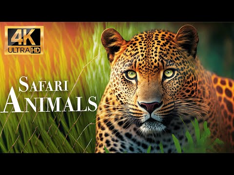 Сафари Животных 4K - Замечательный Фильм О Дикой Природе С Успокаивающей Музыкой
