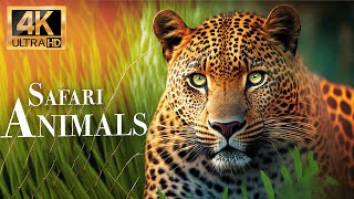 safari animals 4k - Wonderful wildlife movie with soothing music