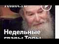 Отношения мужчины и женщины