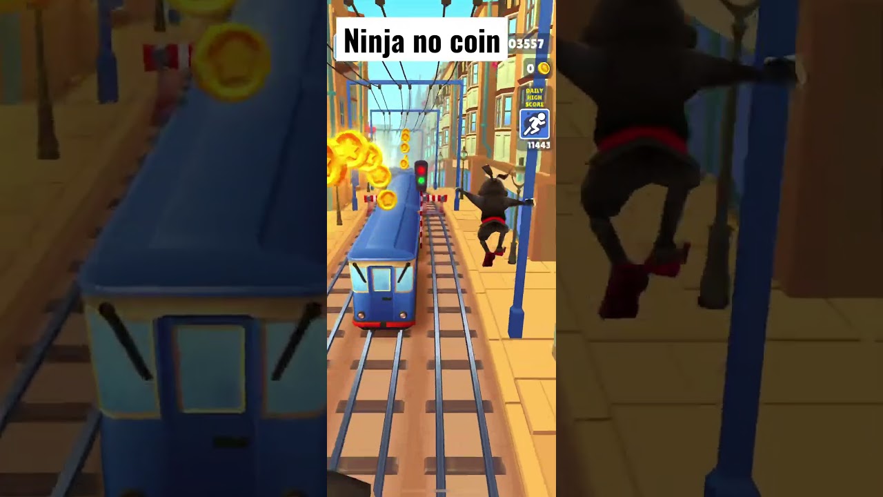 Ninja no coin 