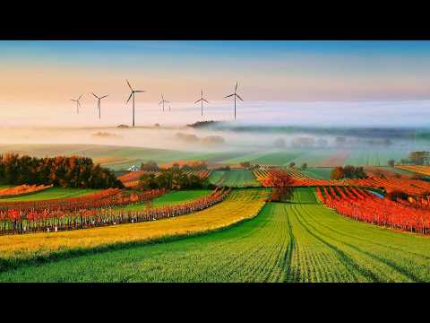 سورة الفتح | القارئ سعد الغامدي