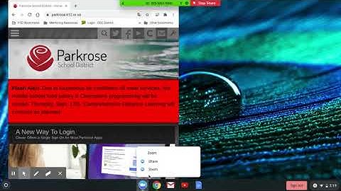 How to Split Zoom Screen in Share Mode on a Chromebook