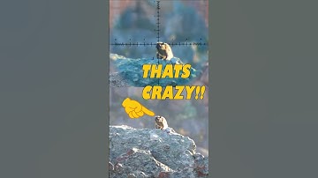 FX Panthera Precision Level: INSANE 📏