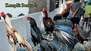 Special bulan Ramadan pasar pedan Komplit bikin ngiler full Bagusan ada kumbang dan ekor lidi josjis