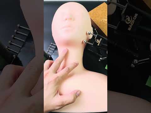 Bí quyết săn chắc nâng cơ   Bọ cạp sừng bạc Bách Chi