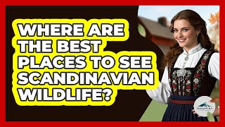 Where Are The Best Places To See Scandinavian Wildlife? - Unmapping Scandinavia