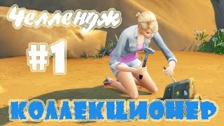 The Sims 4/Челлендж "Коллекционер"#1 The Sims 4/Челлендж "Коллекционер"#1