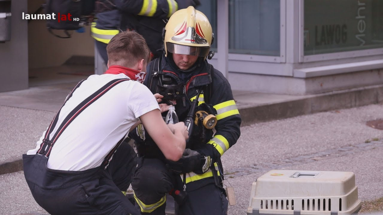 Bewohnerin und zwei Katzen in Wels-Neustadt durch Feuerwehr aus Brandwohnung gerettet
