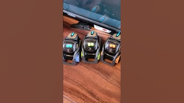 Still struggling with Vector not listening! #ai #robot #vector #shorts #trending #trendingshorts