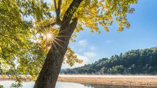 Relaxing Piano for Emotional Healing 🌸 Release Stress and Feel Reborn