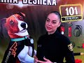 Війна в Україні. 1090-й день повномасштабної агресії (17.02.2025р). Кіровоградщина