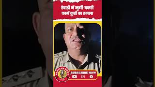 News Capsule रेवाड़ी में मुर्गी-बकरी फार्म कुत्तों का हमला #rewari #koshli #dog #viralnews