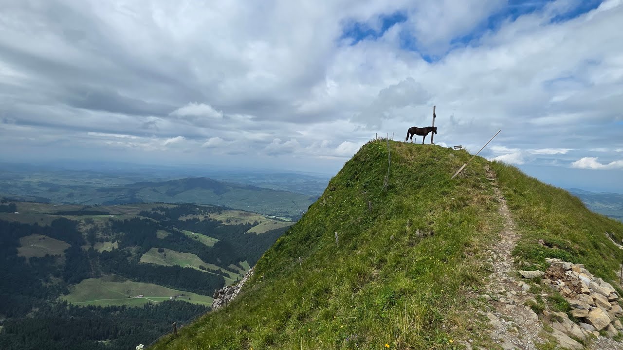 ทักทายกันยามเย็นนี้ จากเมืองซูริค สวิตเซอร์แลนด์ Live at Zürich!!Switzerland 🇨🇭 💐💕💐💕