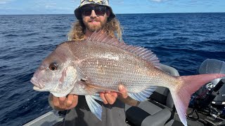 These sharks are RELENTLESS!!! Cape Moreton snapper fishing🎣 screenshot 2