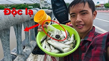 Câu cá bằng chai độc đáo ở quê @phamtansangvlog /câu dính cá cực nhanh|tập 20
