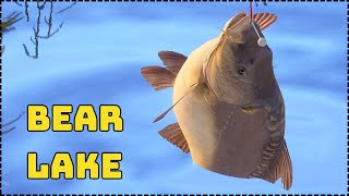 Bear Lake Classic Hair Rig TEST | Russian Fishing 4 #mjplay