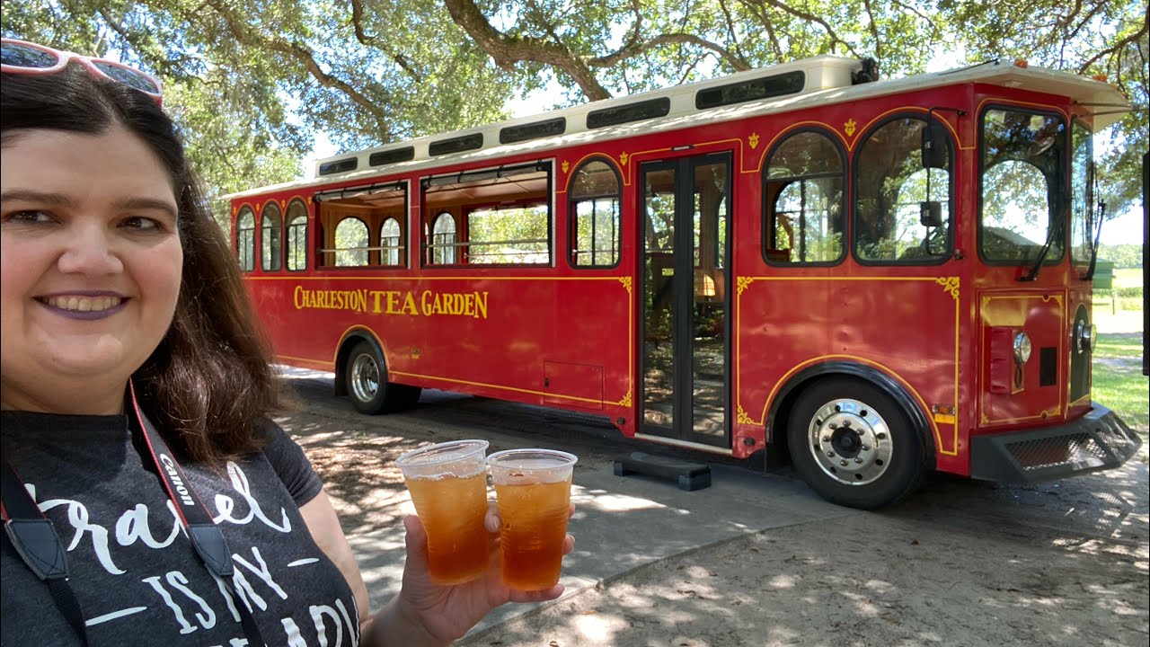 Charleston Tea Garden in Wadmalaw Island, South Carolina.