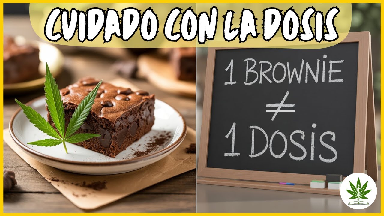 Cannabis en la cocina: Guía segura de comestibles medicinales