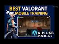 Best daily routine for valorent mobile.