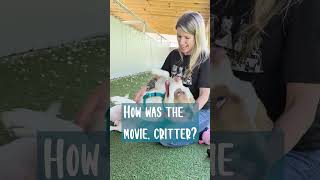 Critters Cinema Critique - Toy Story 5