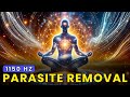 Eliminate Parasites Powerful Rife Frequency For Full Body Cleansing 1150 Hz Eliminate Parasites Powerful Rife Frequency For Full Body Cleansing 1150 Hz