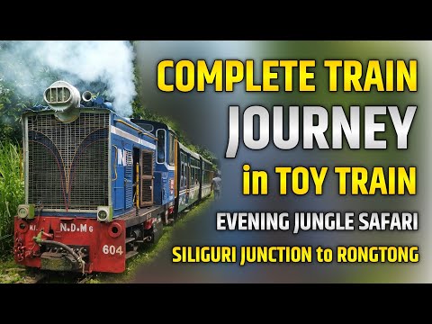 SILIGURI JUNCTION to RONGTONG: Complete Train Journey | NG Evening Safari Train || Indian Railways