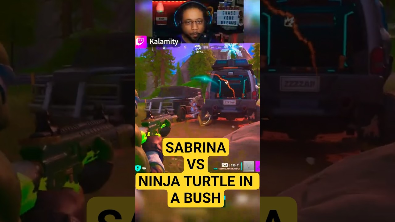 Sabrina Carpenter vs Ninja Turtle in a Bush | Fortnite #shorts