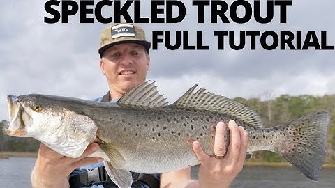 HOW TO CATCH SPECKLED TROUT (Sea Trout) - TUTORIAL and EVERYTHING TO KNOW