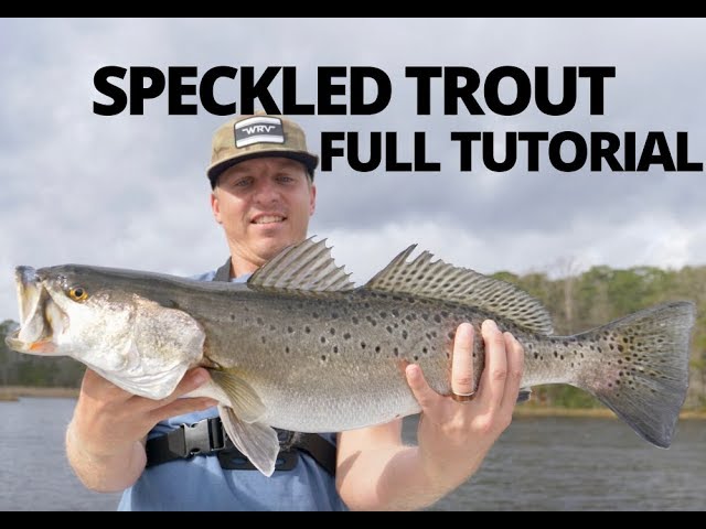 How to Catch Speckled Trout - Top Three Artificial Lures 