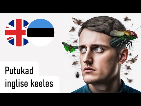 Putukad inglise keeles (Meeshääl)