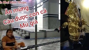 Cả Taem Ăn Mừng Khi Câu được Con Cá | MÚ LỚN CÁ NHỒNG LỚN | Tập 6