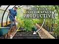Tips to Maximize Undercover Growing over Winter
