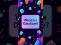 👉 What is a Database?