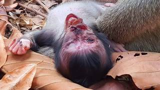 Download Lagu R,,,,,,,IIIPPppp!! Please Help! Newborn Need more help!! MP3