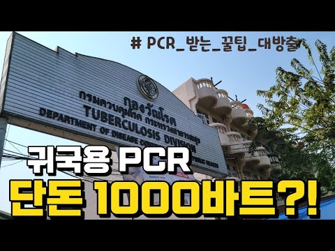 한국 귀국용 PCR 단돈 1000밧 태국여행 태국 PCR 입국용 PCR 방콕에서 PCR 방콕 여행 태국 여행 泰国 PCR Thai PCR 