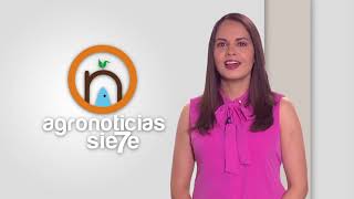 TITULARES AGRONOTICIAS sie7e PROGRAMA 251