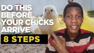 Detailed 8 Things You Must Prepare Before Your Chicks Arrive  Details