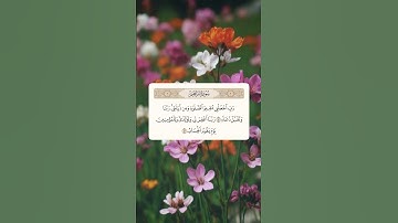 سورة _إبراهيم{ربي اجعلني مقيم الصلاة ومن ذريتي }#سورة_إبراهيم #المصحف #قرآن #الرحمن