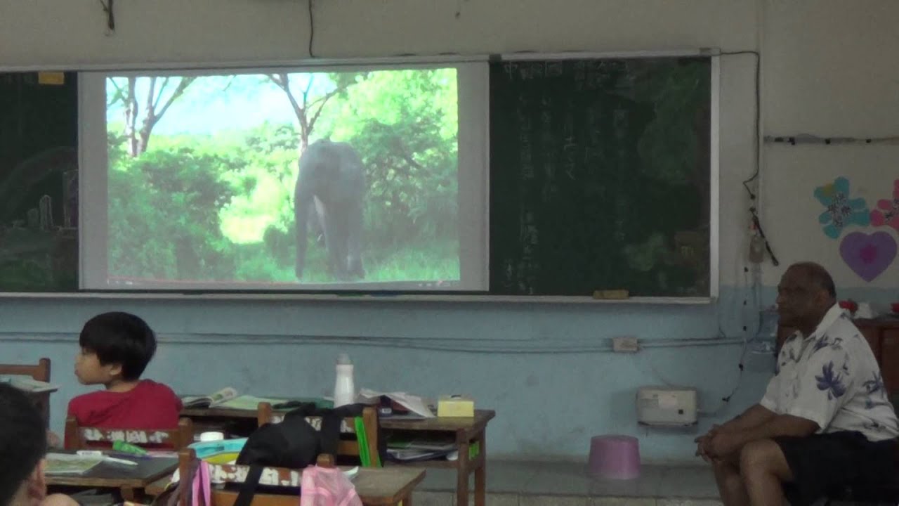 2014 05016北湖國小英語課grade5 Count Number Zoo YouTube