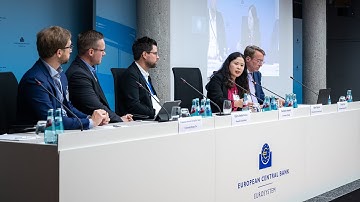 Session 3: Climate stress tests and Macroprudential policy leakage