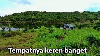 SUNGGUH INI KEBUN DAN TEMPAT NYA MENAKJUBKAN BANGET,UDAH SEPERTI TAMAN SAYUR