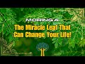 Moringa The Miracle Leaf That Can Change Your Life! | Dad's Daily 101