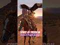 Leo Rojas – El Condor Pasa | Spirit of Freedom • Healing Nature & Condor Flight #shorts