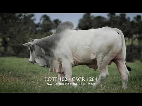 LOTE 102   CSCR 1264